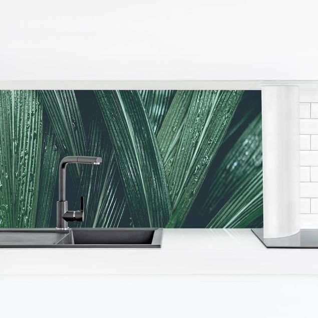 Panel ścienny do kuchni - Zielone liście palmy