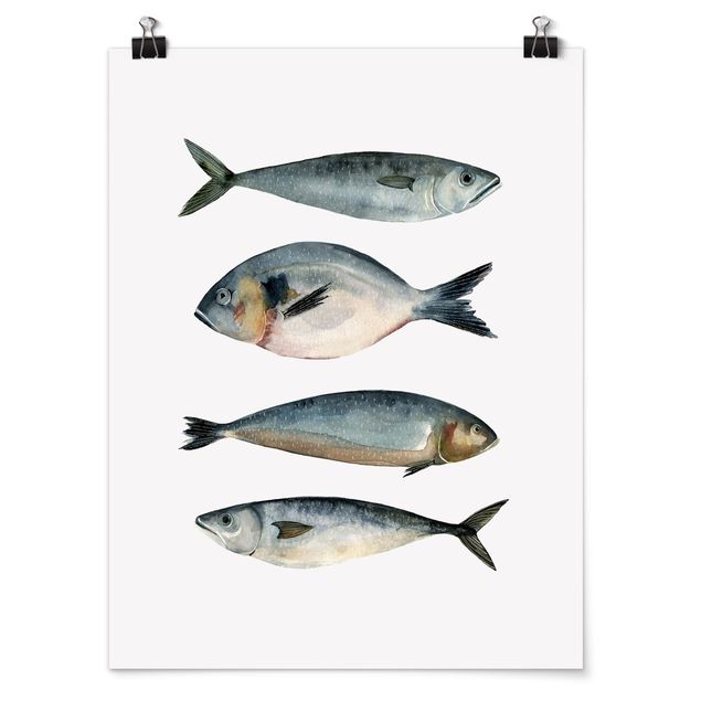 Obrazy zwierzęta Cztery ryby w akwareli II