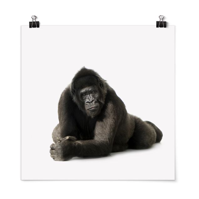 Nowoczesne obrazy Recumbent Gorilla II