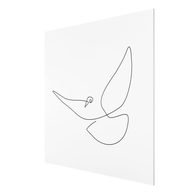 Obrazy nowoczesne Line Art Dove