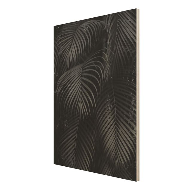 Obrazy Czarne liście palmy