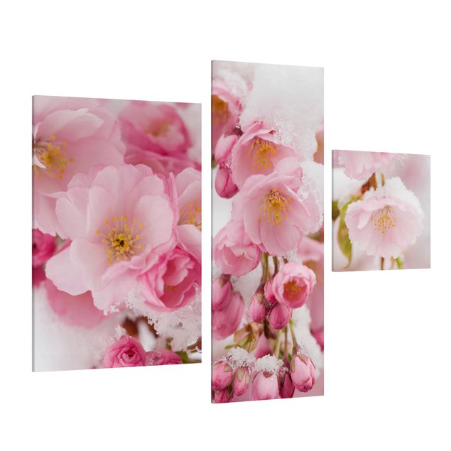 Obraz na płótnie 3-częściowy - Kwiaty wiśni pokryte śniegiem