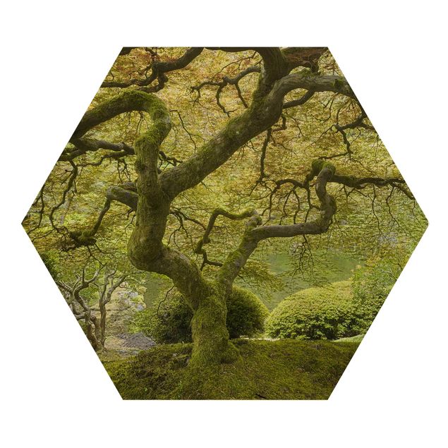Obraz heksagonalny z drewna - Zielony ogród japoński
