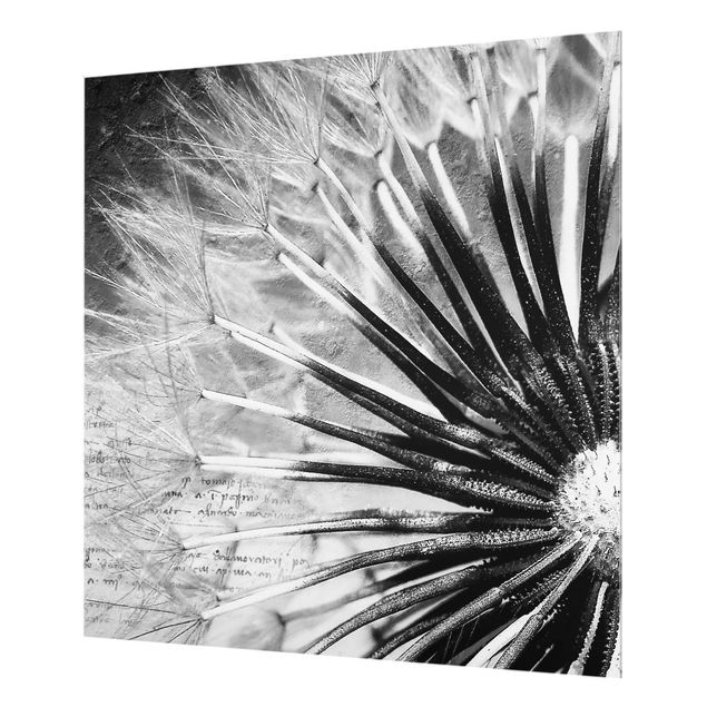 Panel szklany do kuchni - Dandelion czarno-biały