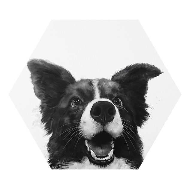 Obraz psa Ilustracja pies Border Collie czarno-biały malarstwo