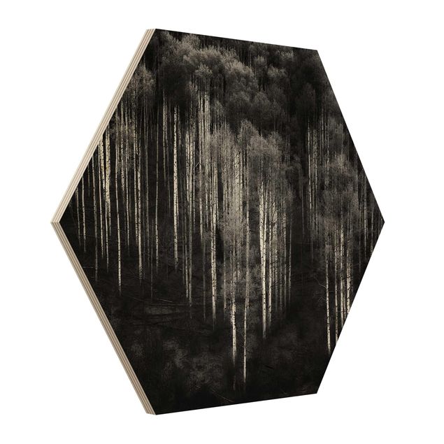 Obraz heksagonalny z drewna - Las brzozowy w Aspen