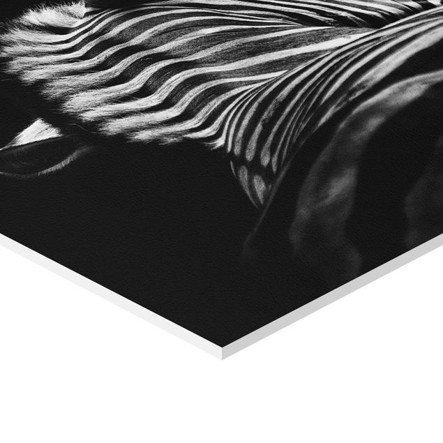 Sześciokątny obraz Sylwetka zebry ciemnej
