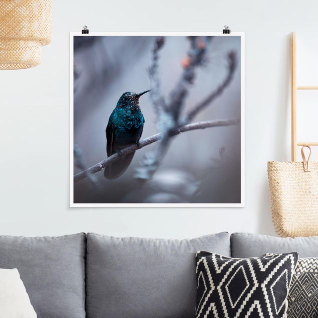 Obrazy do salonu Koliber w zimie