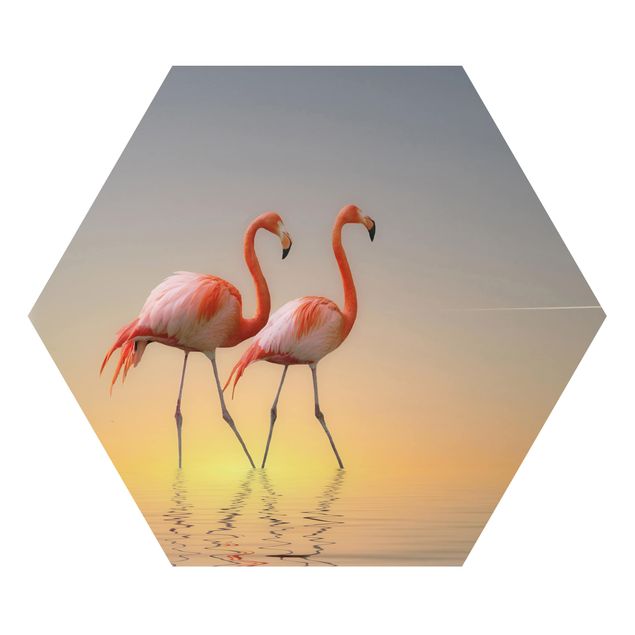 Afryka obrazy Miłość flaminga