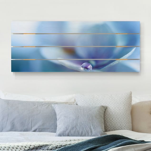 Obrazy na ścianę Kwiat hortensji o kształcie kropli wody