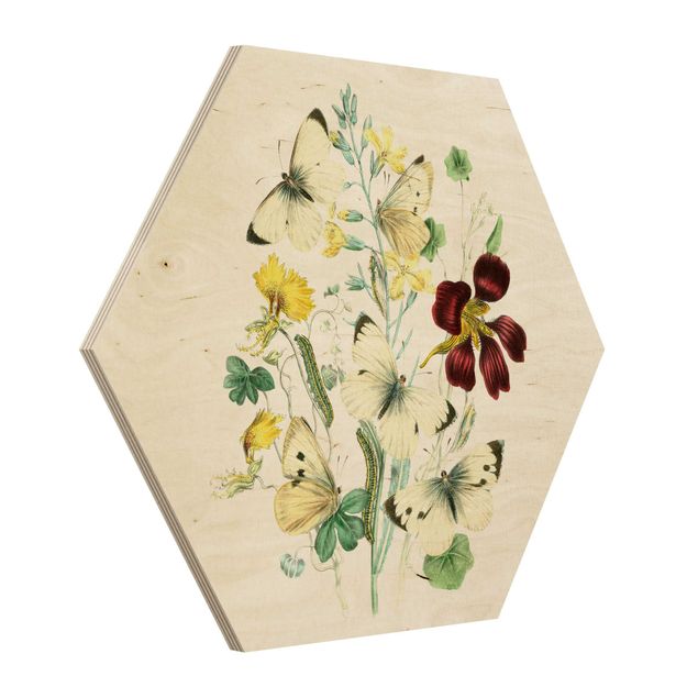Obraz heksagonalny z drewna - Motyle brytyjskie II
