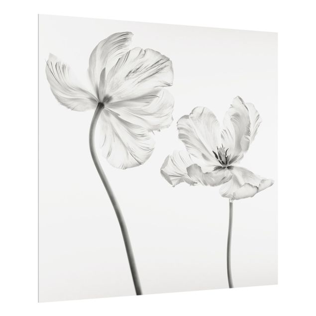 Panel szklany do kuchni - Dwa delikatne białe tulipany