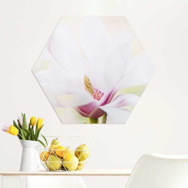 Obrazy do salonu nowoczesne Czuły kwiat magnolii