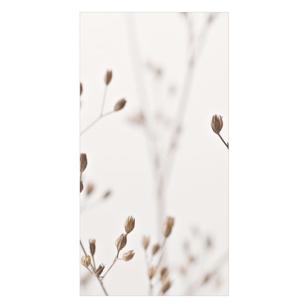 Tylna ścianka prysznicowa - Delicate Buds On A Wildflower Stem