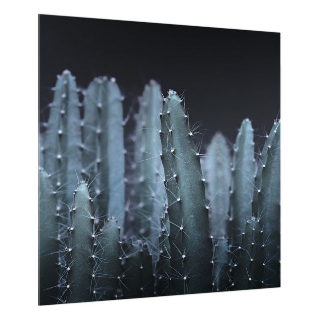 Panel szklany do kuchni - Kaktus pustynny nocą