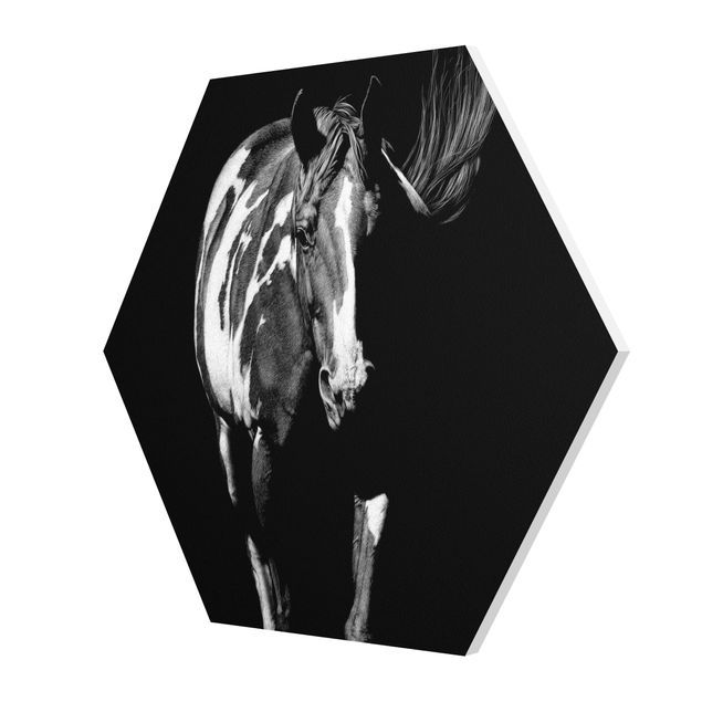 Obrazki czarno białe Koń przed Czarnym