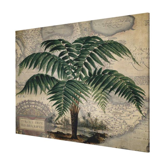 Nowoczesne obrazy Kolaż w stylu vintage - drzewo palmowe i mapa świata