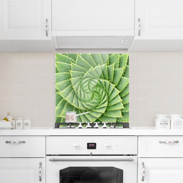 Panele szklane do kuchni Aloes spiralny
