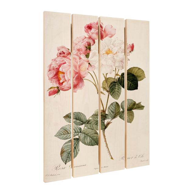 Obraz z drewna - Pierre Joseph Redouté - Róża damasceńska