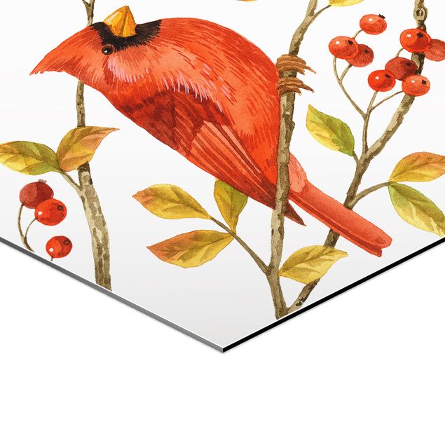 Obrazy na ścianę Ptaki i jagody - Czerwony kardynał
