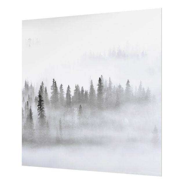 Panel szklany do kuchni - Mgła w Puszczy Jodłowej Czarno-biała