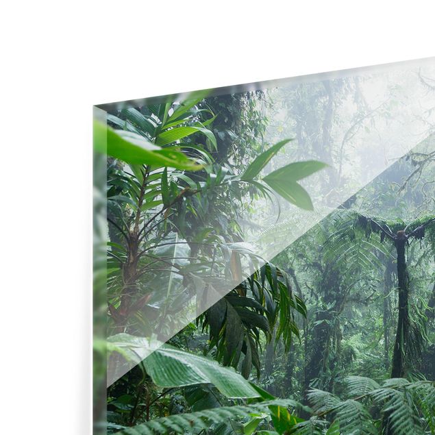 Panel szklany do kuchni - Las chmur Monteverde