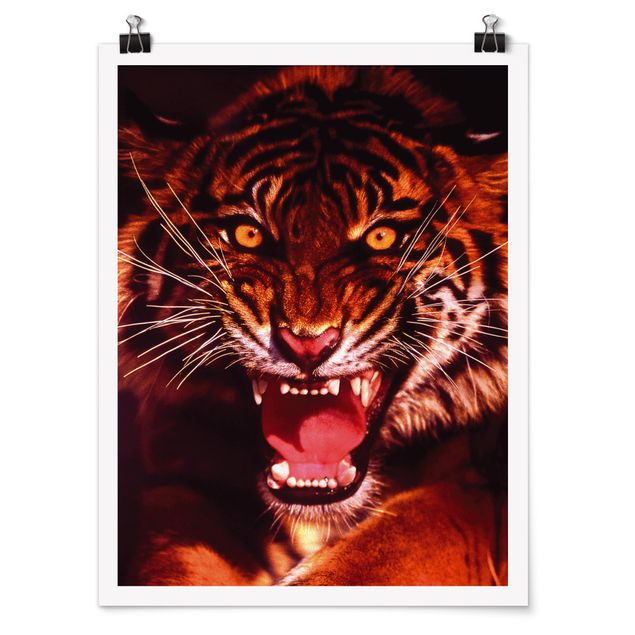 Obrazy ze zwierzętami Dziki tygrys
