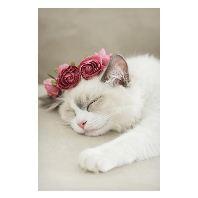 Nowoczesne obrazy Śpiący kot z różami