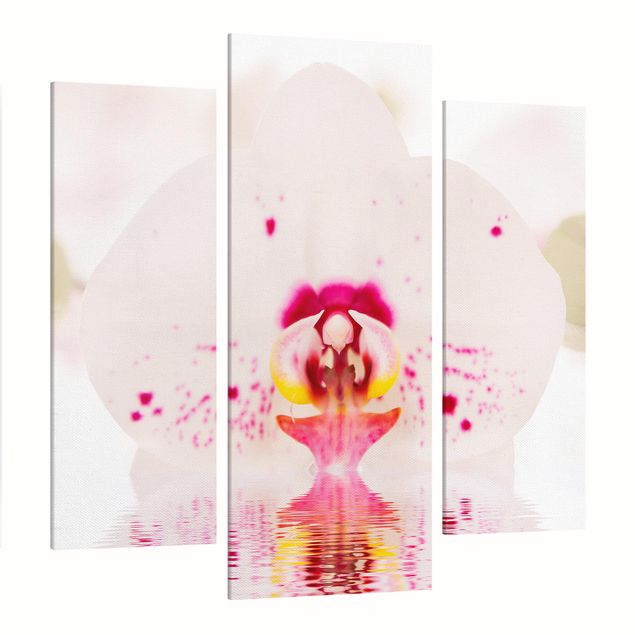 Obrazy na płótnie orchidea Orchidea w kropki na wodzie