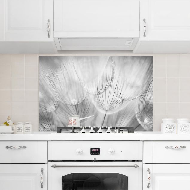 Panele szklane do kuchni Zdjęcie makro mniszka lekarskiego w czerni i bieli