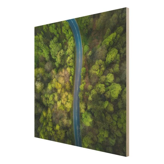 Obrazy z drewna Zdjęcie lotnicze - Droga asfaltowa w lesie
