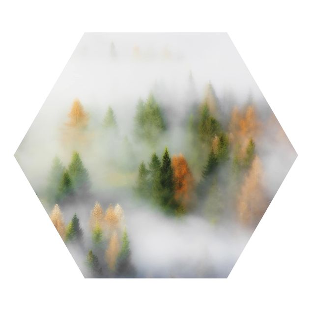 Obraz heksagonalny z Alu-Dibond - Czarny Las jesienią