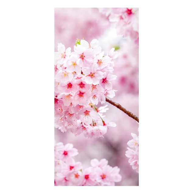 Dekoracja do kuchni Japońskie kwiaty wiśni