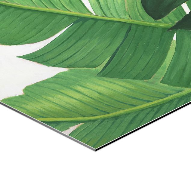 Obraz heksagonalny z Alu-Dibond 4-częściowy - Favourite Plants Tropical Set I