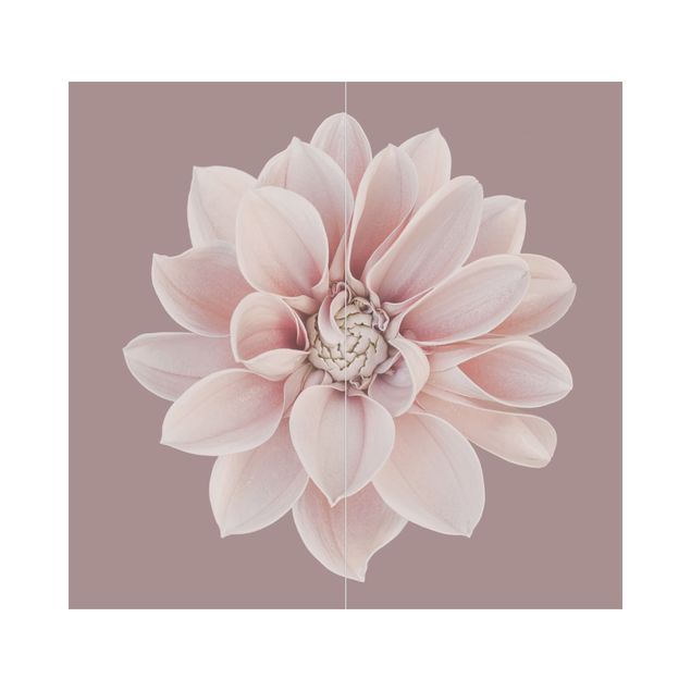 Tylna ścianka prysznicowa - Dahlia Flower Lavender White Pink