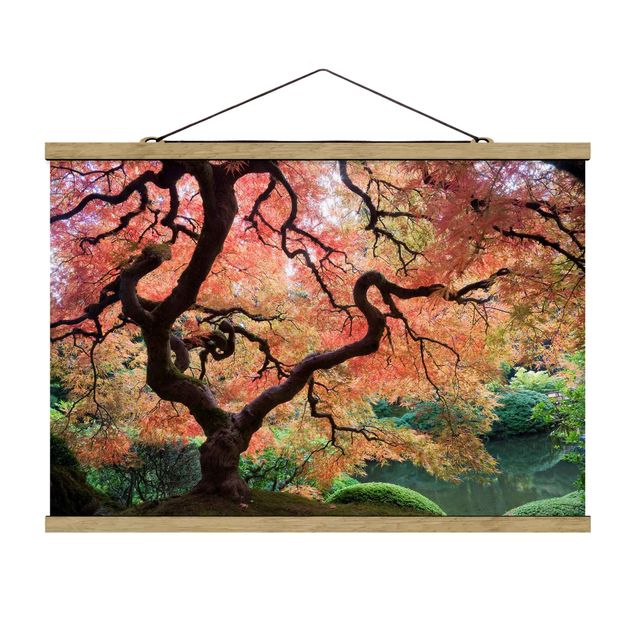 Drzewo obraz Ogród japoński