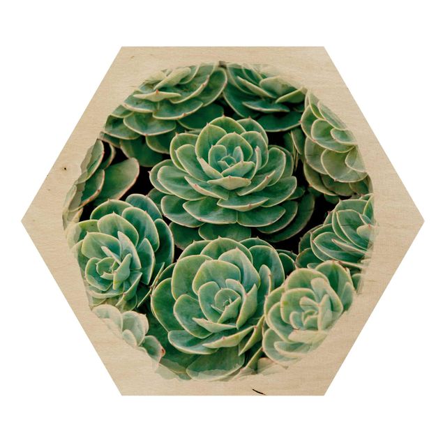 Obraz heksagonalny z drewna - Akwarele - Zielone sukulenty