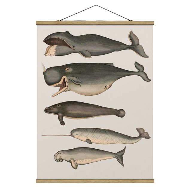 Obrazy ryby Pięć wieloryby w stylu vintage