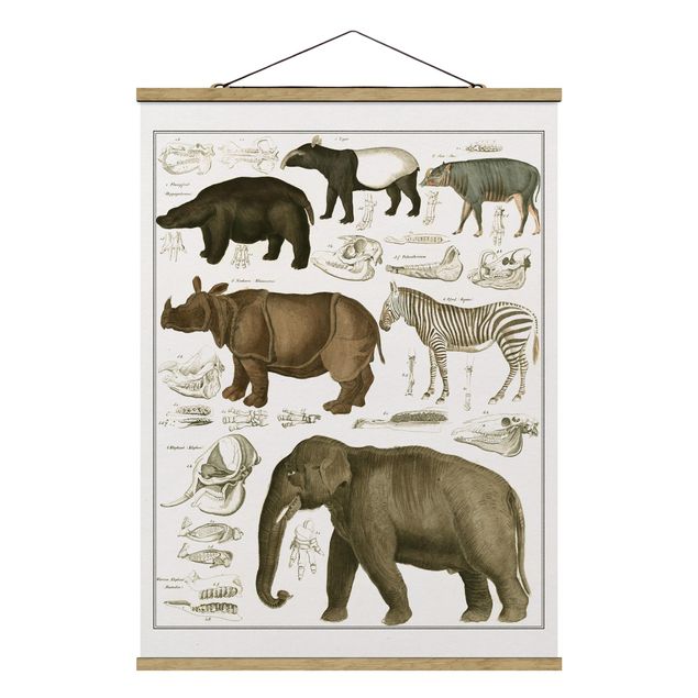 Zwierzęta obrazy Tablica edukacyjna w stylu vintage Słonie, zebry i nosorożce