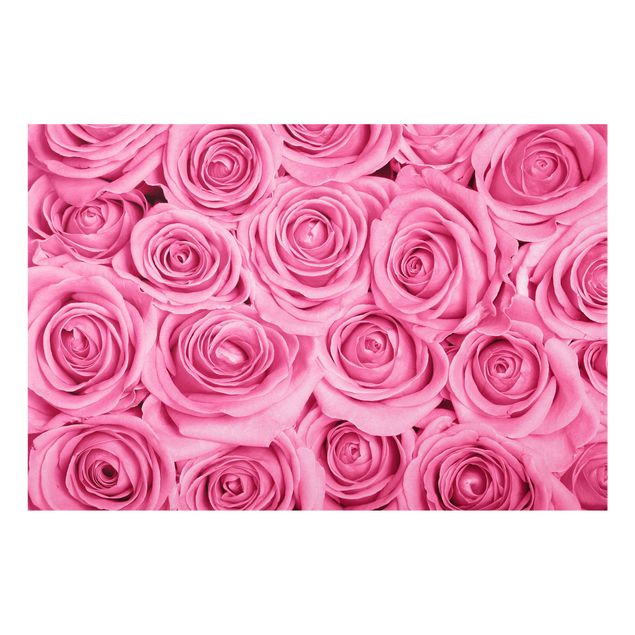 Panel szklany do kuchni - Różowe róże