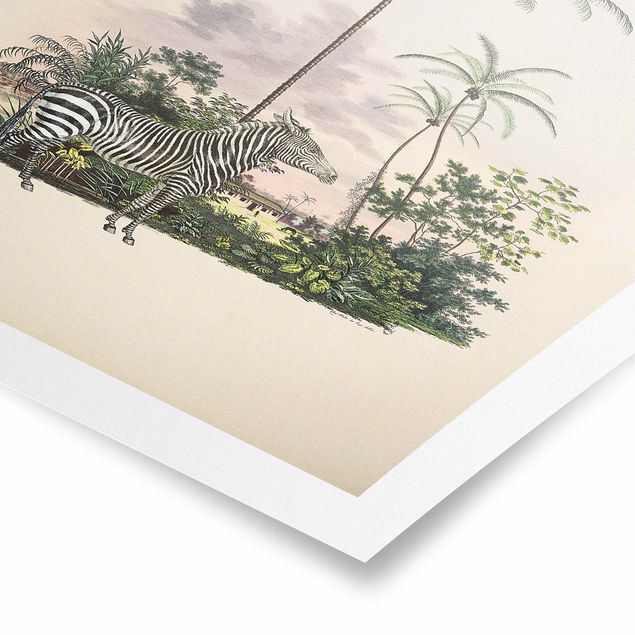 Obrazy vintage Zebra na tle palm ilustracja