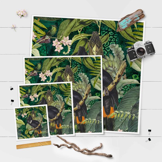 Andrea Haase obrazy  Kolorowanka - Kakadu w dżungli