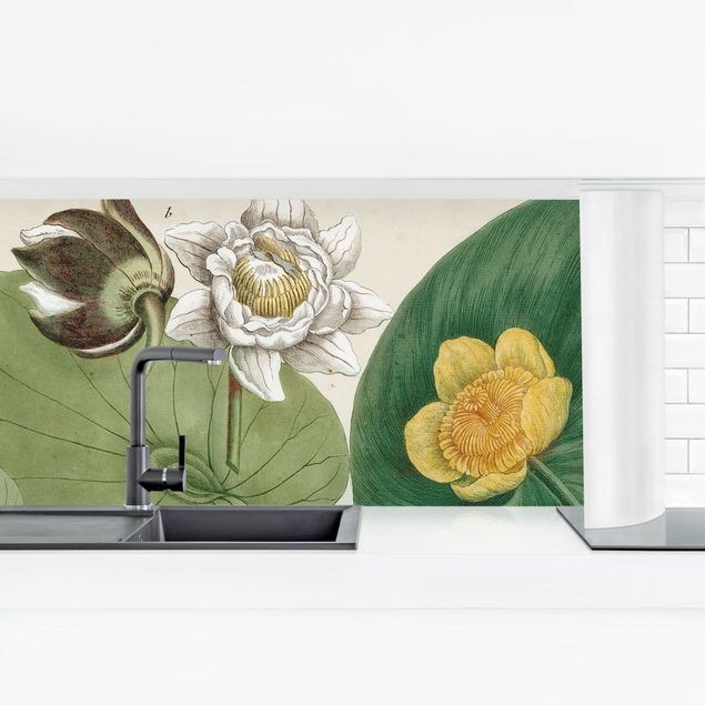 Panel ścienny do kuchni - Ilustracja w stylu vintage Biała lilia wodna