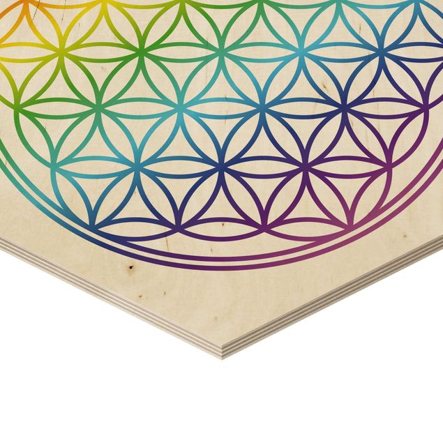 Obraz heksagonalny z drewna - Kwiat życia w kolorze tęczy