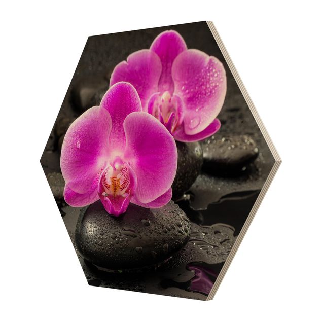 Obrazy z motywem kwiatowym Kwiaty różowej orchidei na kamieniach z kroplami