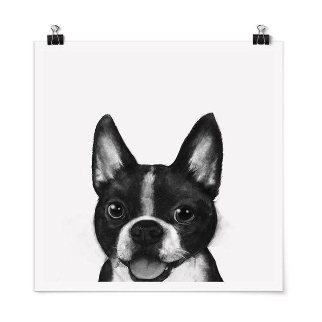 Obrazy zwierzęta Ilustracja pies Boston czarno-biały Painting