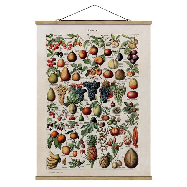 Obrazy retro Tablica edukacyjna w stylu vintage Owoce