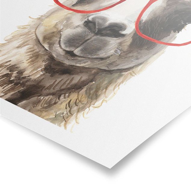 Obrazy ze zwierzętami Hippy Llama w okularach II