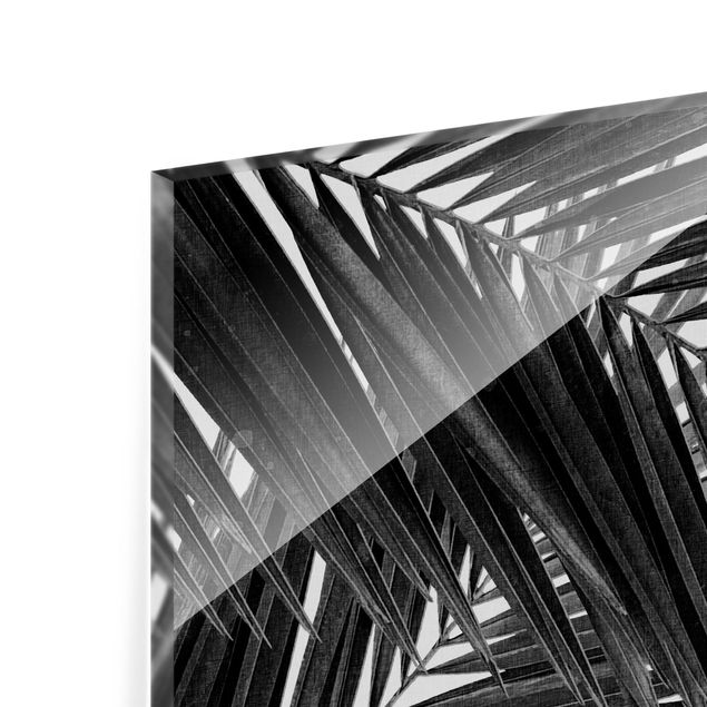 Panel szklany do kuchni - Widok na liście palmy, czarno-biały