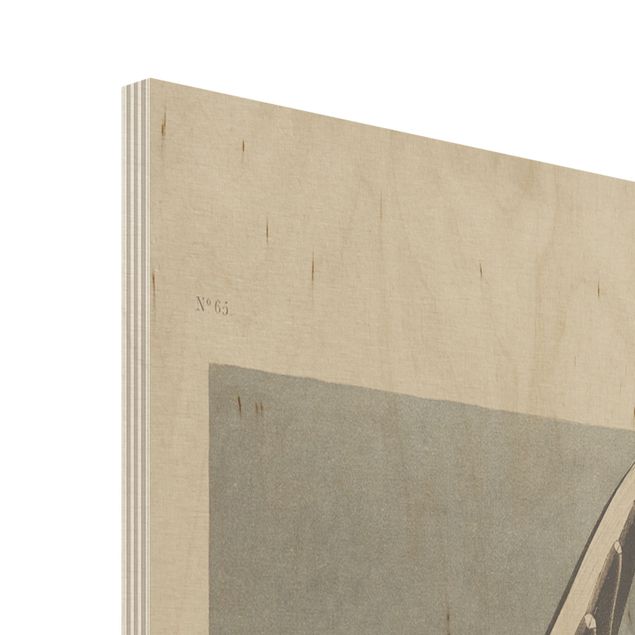 Obraz z drewna - Tablica edukacyjna w stylu vintage Mewa Bonapartego